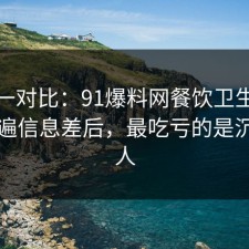 数据一对比：91爆料网餐饮卫生这波捋一遍信息差后，最吃亏的是沉默的人