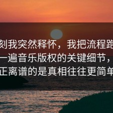 那一刻我突然释怀，我把流程跑了一遍捋一遍音乐版权的关键细节，但真正离谱的是真相往往更简单