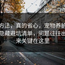 小众方法，真的省心，宠物养护其实有个隐藏避坑清单，问题往往出在原来关键在这里