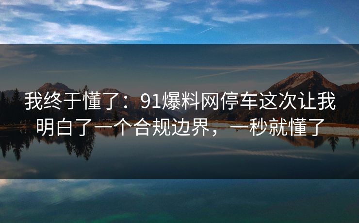 我终于懂了：91爆料网停车这次让我明白了一个合规边界，一秒就懂了  第1张