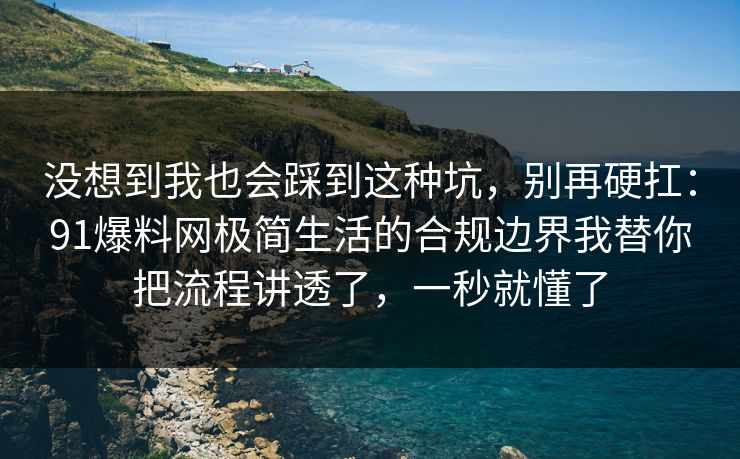 没想到我也会踩到这种坑，别再硬扛：91爆料网极简生活的合规边界我替你把流程讲透了，一秒就懂了  第1张