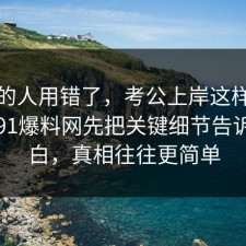 90%的人用错了，考公上岸这样做最稳：91爆料网先把关键细节告诉你明白，真相往往更简单