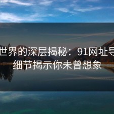 网络世界的深层揭秘：91网址导航的细节揭示你未曾想象