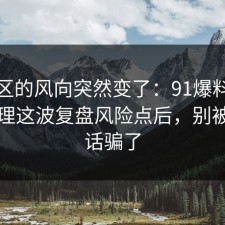 评论区的风向突然变了：91爆料网密码管理这波复盘风险点后，别被一句话骗了