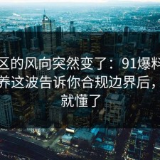 评论区的风向突然变了：91爆料网媒体素养这波告诉你合规边界后，一秒就懂了