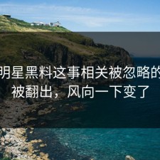 关于明星黑料这事相关被忽略的一幕被翻出，风向一下变了