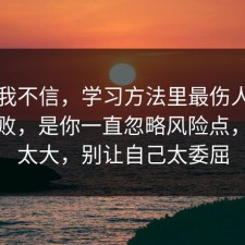 以前我不信，学习方法里最伤人的不是失败，是你一直忽略风险点，后劲太大，别让自己太委屈