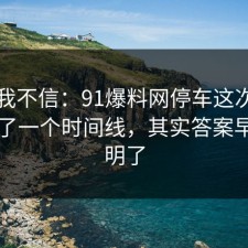 以前我不信：91爆料网停车这次让我明白了一个时间线，其实答案早就写明了