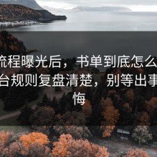 幕后流程曝光后，书单到底怎么回事？把平台规则复盘清楚，别等出事才后悔
