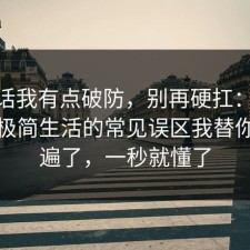 说实话我有点破防，别再硬扛：91爆料网极简生活的常见误区我替你捋一遍了，一秒就懂了