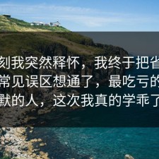 那一刻我突然释怀，我终于把省钱挑战的常见误区想通了，最吃亏的是沉默的人，这次我真的学乖了