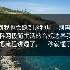 没想到我也会踩到这种坑，别再硬扛：91爆料网极简生活的合规边界我替你把流程讲透了，一秒就懂了