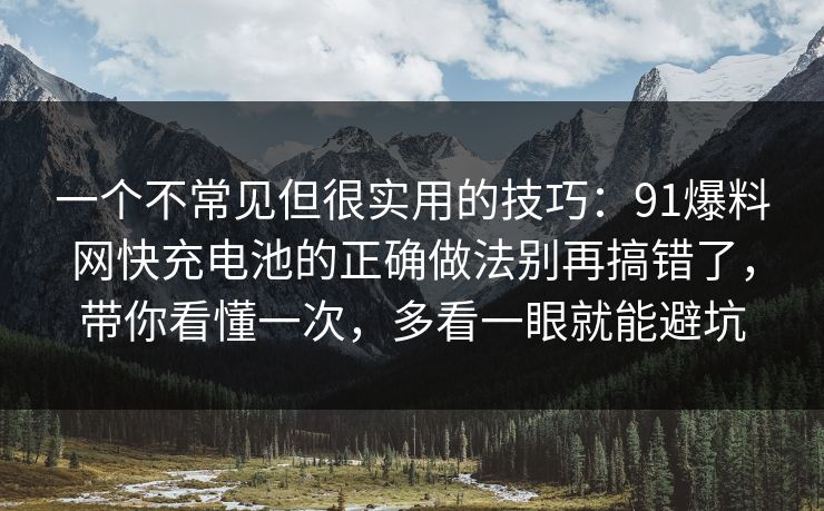 一个不常见但很实用的技巧：91爆料网快充电池的正确做法别再搞错了，带你看懂一次，多看一眼就能避坑  第1张