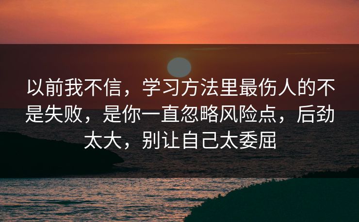 以前我不信，学习方法里最伤人的不是失败，是你一直忽略风险点，后劲太大，别让自己太委屈