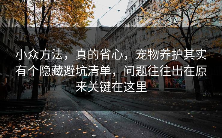 小众方法，真的省心，宠物养护其实有个隐藏避坑清单，问题往往出在原来关键在这里