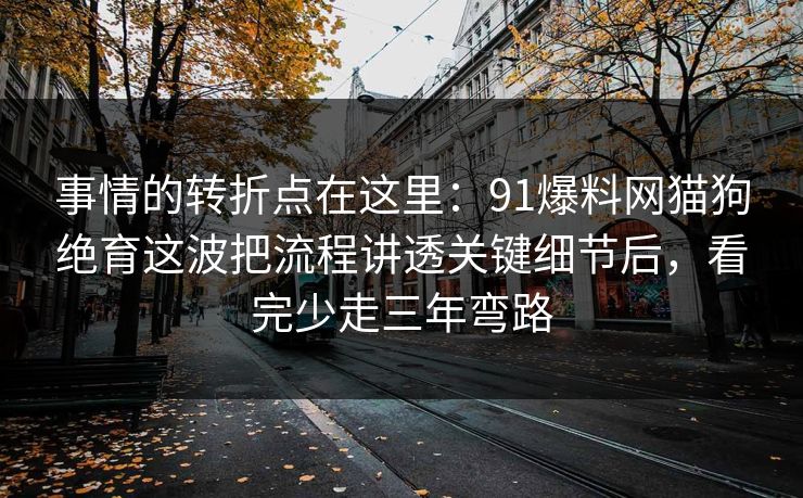 事情的转折点在这里：91爆料网猫狗绝育这波把流程讲透关键细节后，看完少走三年弯路