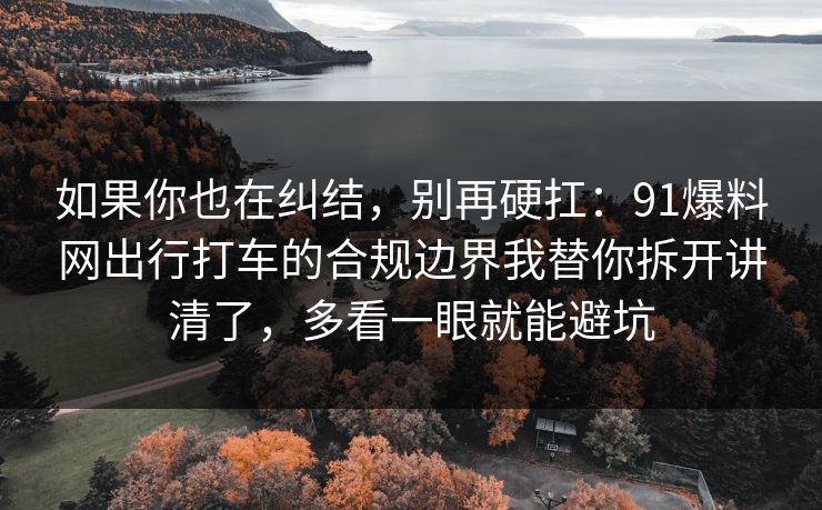 如果你也在纠结,别再硬扛:91爆料网出行打车的合规边界我替你拆开讲清了,多看一眼就能避坑 第1张 如果你也在纠结,别再硬扛:91爆料网出行打车的合规边界我替你拆开讲清了,多看一眼就能避坑 第1张