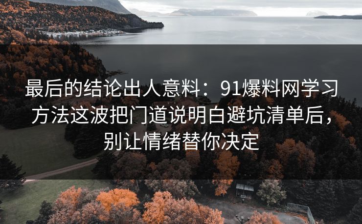 最后的结论出人意料：91爆料网学习方法这波把门道说明白避坑清单后，别让情绪替你决定  第1张